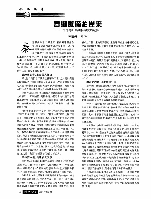春潮激涌拍岸来——河北港口集团科学发展纪实