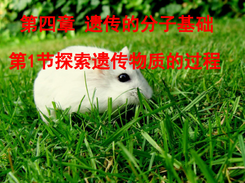 人类探索遗传物质的过程ppt(新人教版)PPT课件