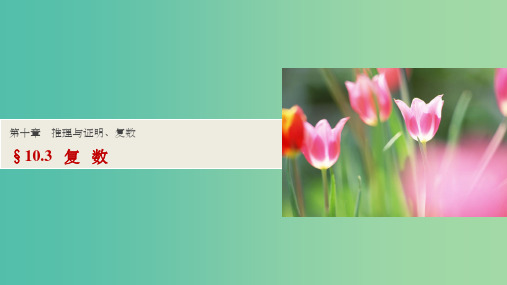高考数学一轮复习 第十章 推理与证明、复数 10.3 复数课件