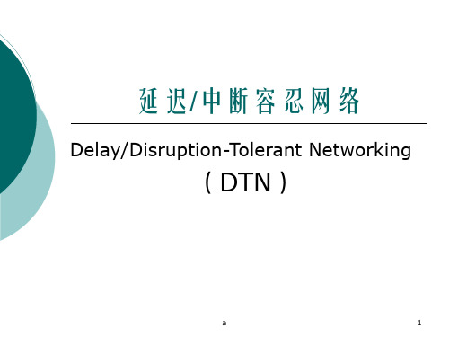 延迟中断容忍网络