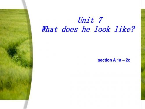 Unit9_What_does_he_look_like_Section_A__1a---1c_第一课时