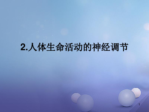 八年级科学下册 7.2 人体生命活动的神经调节课件 (新版)华东师大版