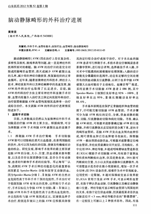 脑动静脉畸形的外科治疗进展