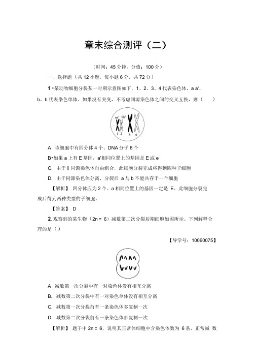 2019-2020学年高中生物人教版必修二练习：章末综合测评2Word版含解析
