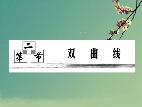 高考数学复习全套课件 第八章  第二节  双曲线.ppt
