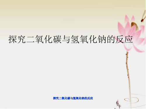 探究二氧化碳与氢氧化钠的反应 ppt课件