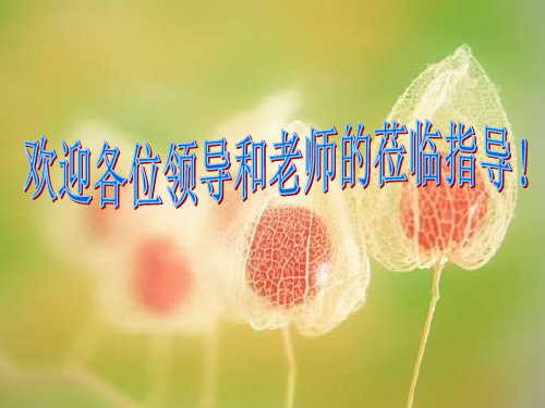 太阳光与影子