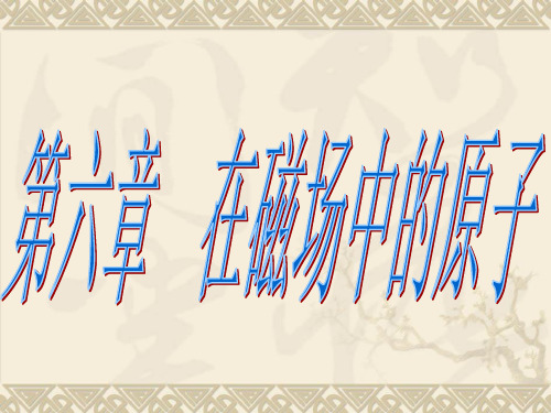 第六章在磁场中的电子