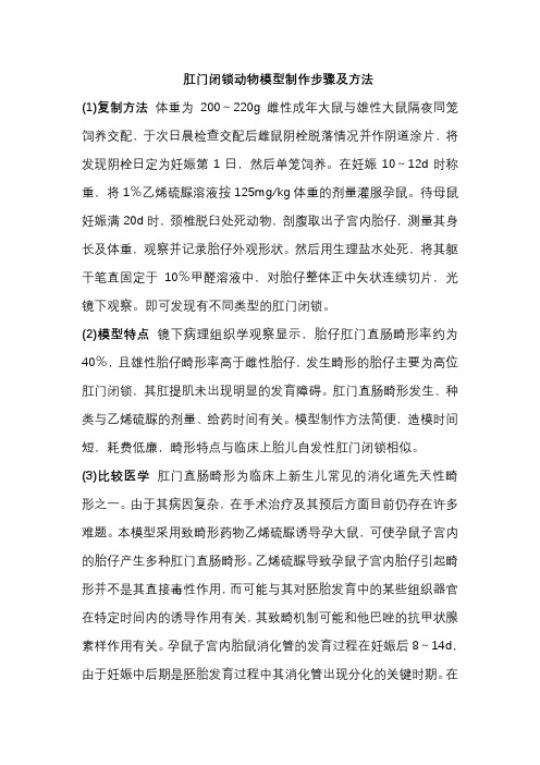 肛门闭锁动物模型制作步骤及方法