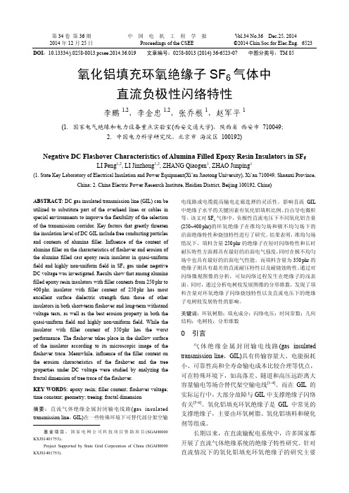 氧化铝填充环氧绝缘子SF6气体中直流负极性闪络特性(论文)