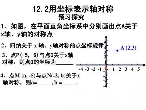 用坐标表示轴对称(3)