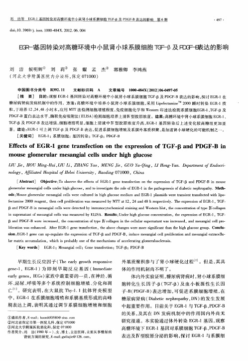 EGR-1基因转染对高糖环境中小鼠肾小球系膜细胞TGF-β及PDGF-B表达的影响