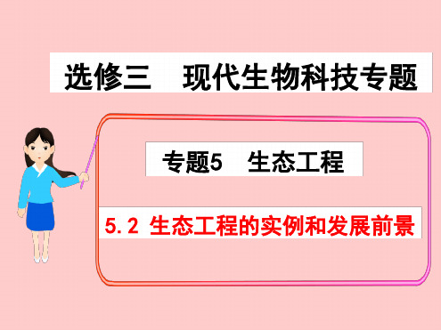 高中生物专题5第二节生态工程的实例和发展前景课件新人教选修3