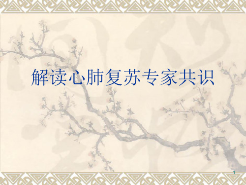 解读心肺复苏专家共识PPT课件