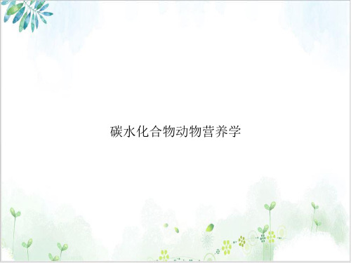 碳水化合物动物营养学课件PPT