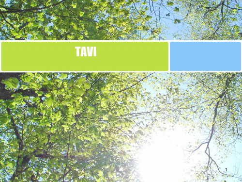 经皮主动脉瓣植入TAVI-PPT演示课件