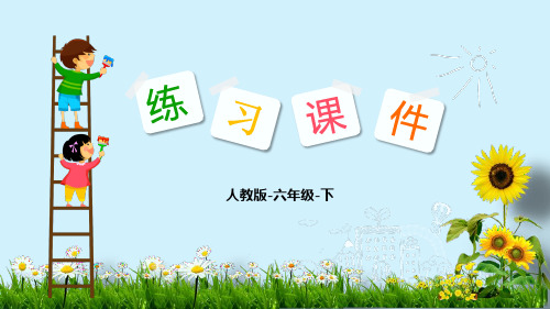 六年级数学下册习题课件 2 正比例和反比例 人教版(共17页)PPT