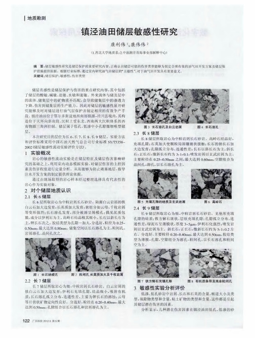镇泾油田储层敏感性研究