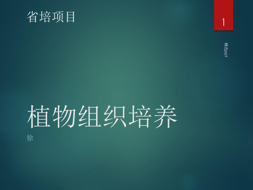 植物组织培养