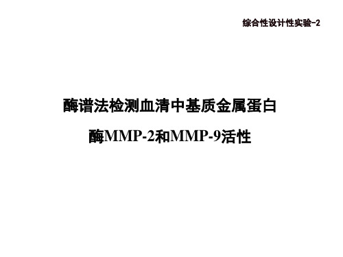 2019-2-酶谱法检测血清基质金属蛋白酶MMP-2、MMP-9的活性-文档资料