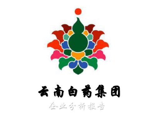云南白药 企业分析PPT资料26页
