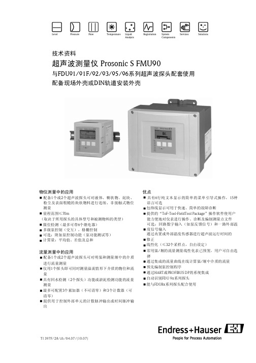 E+H FMU90中文说明书