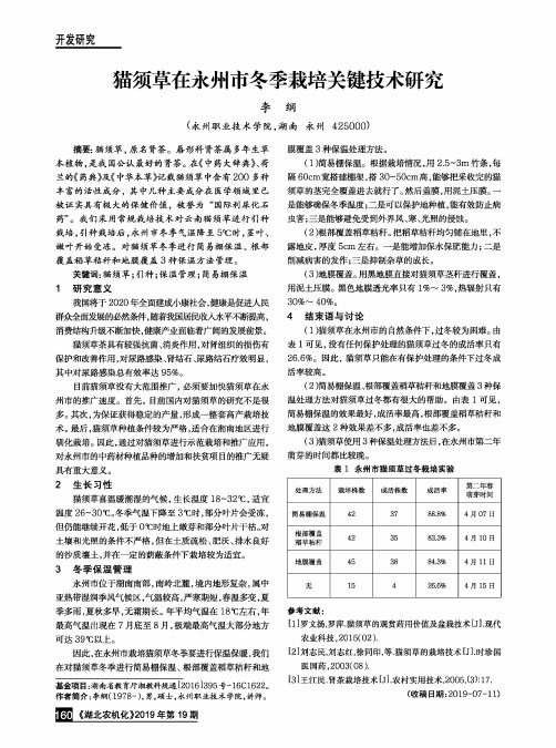 猫须草在永州市冬季栽培关键技术研究