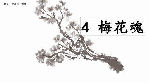 部编版五年级语文下册第4课《梅花魂》精品课件