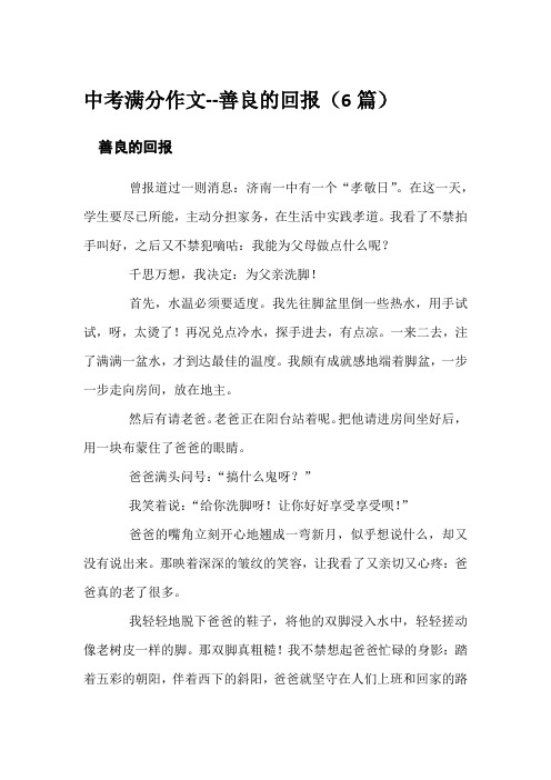 中考满分作文--善良的回报(6篇)