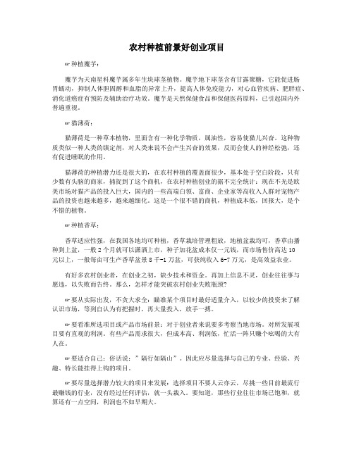 农村种植前景好创业项目