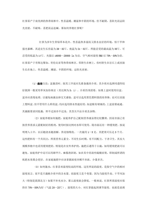红掌养殖方法