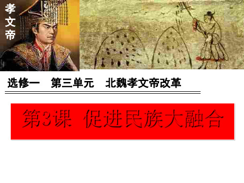 人教版高中历史选修第单元促进民族大融合课件