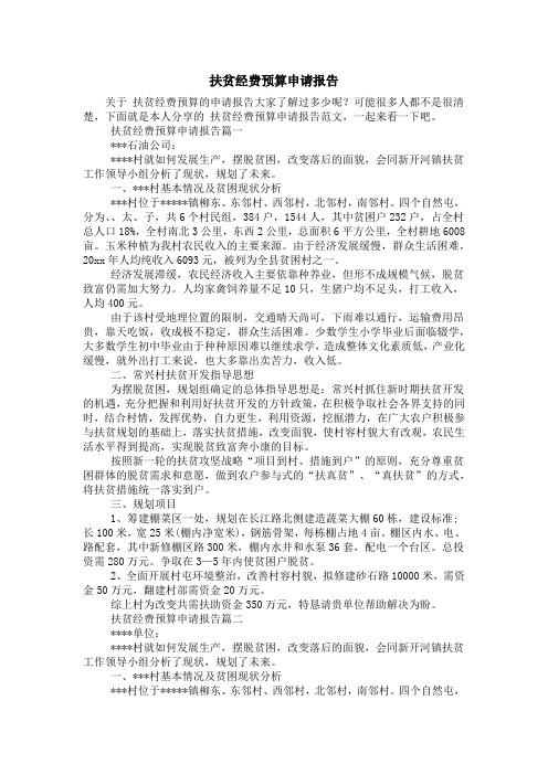扶贫经费预算申请报告
