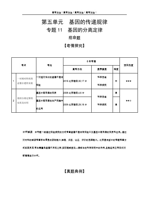 北京版高考生物 专题11 基因的分离定律