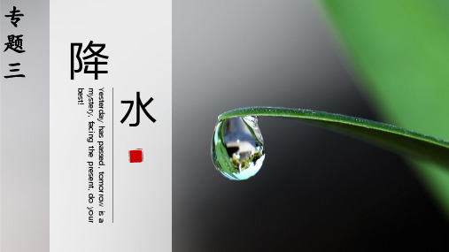 高三地理二轮复习 降水专题