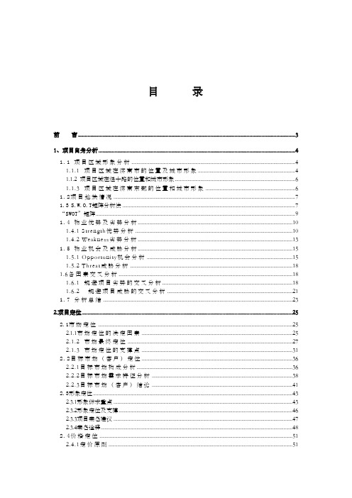 济南南丰领东国际新城万方大盘项目策划定位报告终