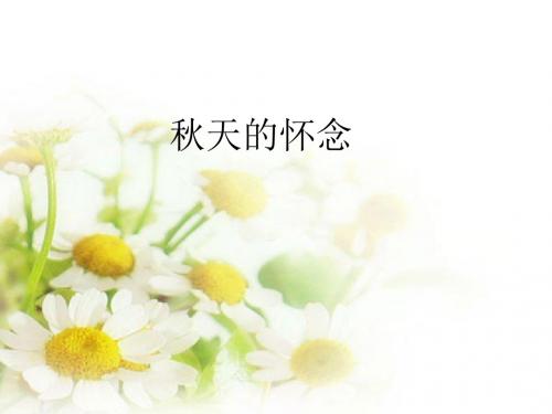 六年级语文上册 第12课 秋天的怀念课件 语文S版