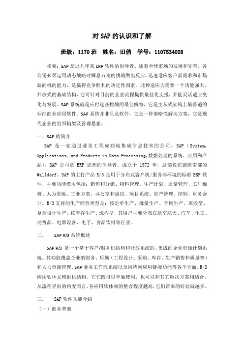 对SAP的认识和了解