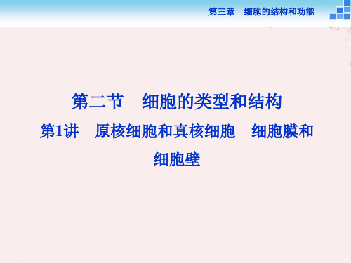 高中生物第三章细胞的结构和功能第二节细胞的类型和结构第1讲原核细胞和真核细胞细胞膜和细胞壁课件