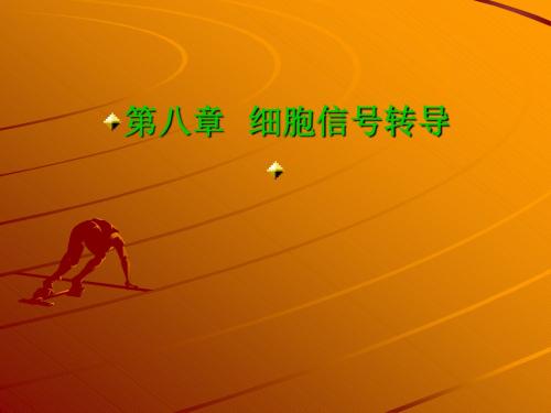 第八章 细胞通讯与信号传递1-1