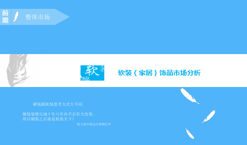 软装饰品市场分析(精品)