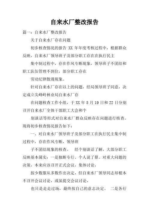 自来水厂整改报告doc