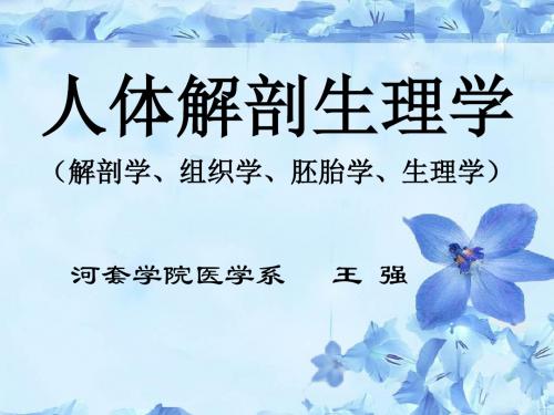 人体解剖学生理学-神经系统概述、神经组织(河套学院-王强)