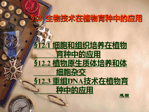 生物技术在育种上的应用