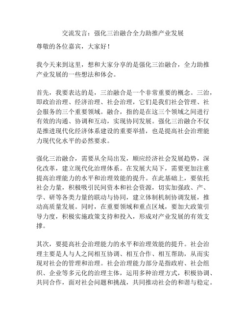 交流发言：强化三治融合全力助推产业发展