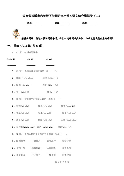 云南省玉溪市六年级下学期语文小升初语文综合模拟卷(二)