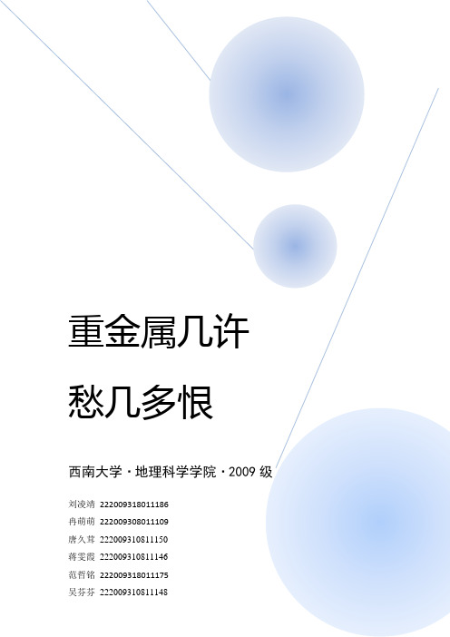 重金属污染 论文