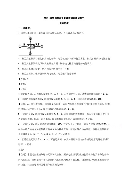河南省新蔡县2020届高三(12月)调研生物试题 Word版含解析