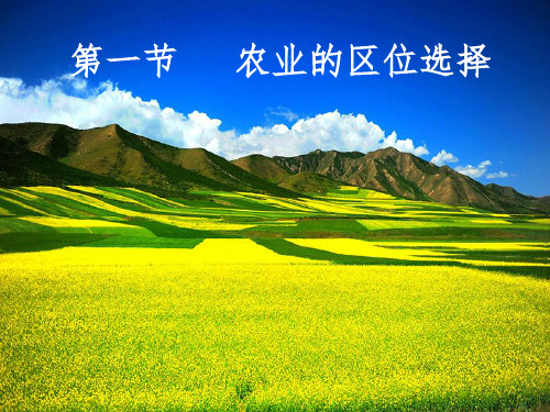 人教版高中地理必修二第三章第一节农业的区位选择 课件(共41张PPT)