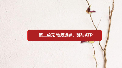 第二单元 物质运输、酶与ATP【复习课件】-2021年高考一轮生物单元复习一遍过.pptx